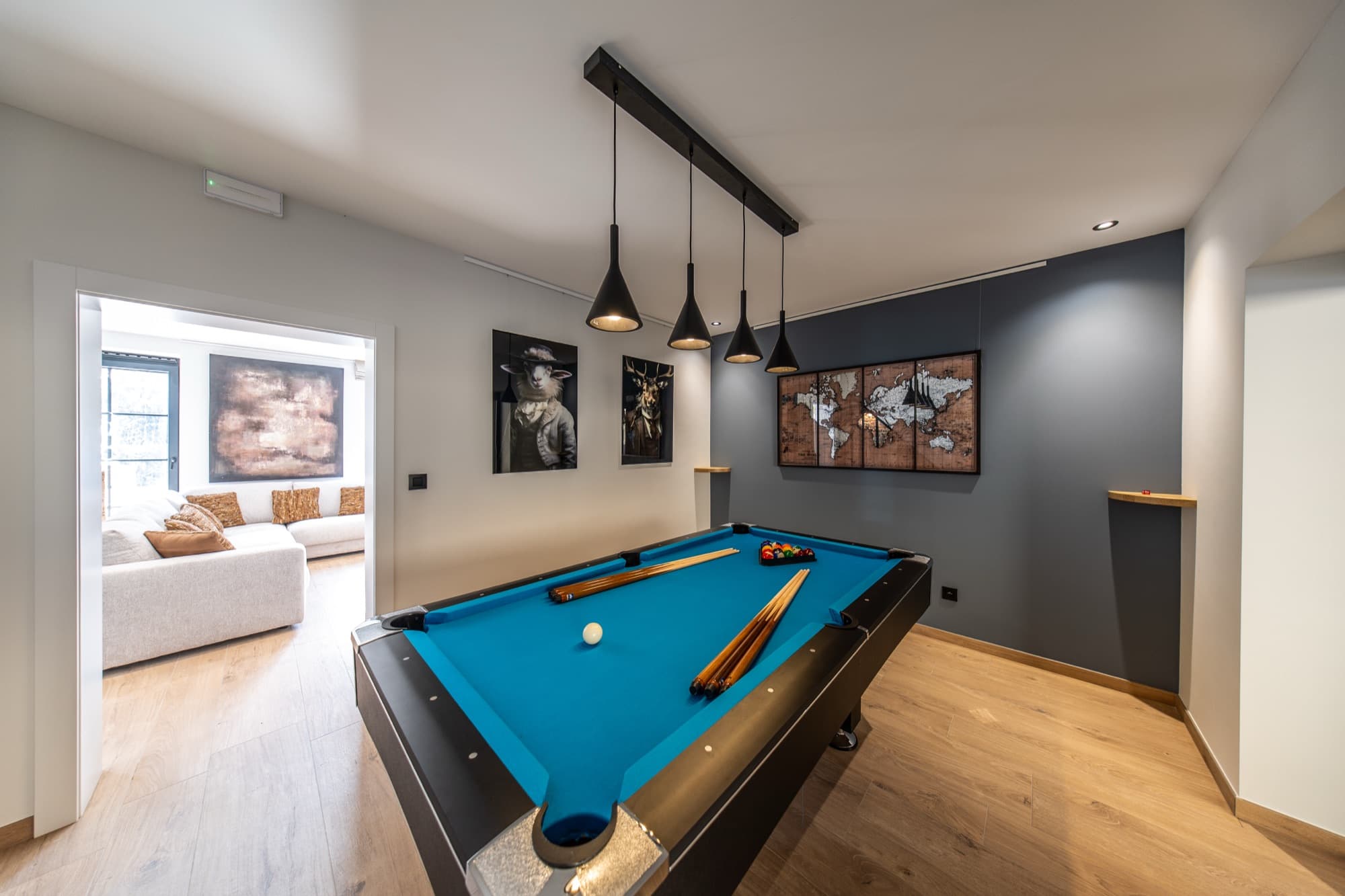 Pool room & cinema room — view 1